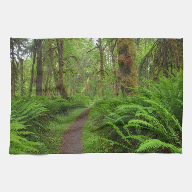 Maple Glade trail, ferns and moss covered Towel (Horizontal)