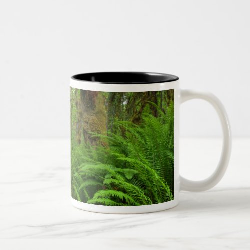 Maple Glade trail ferns and moss covered Two_Tone Coffee Mug