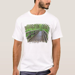 Maple Glade trail wooden bridge, ferns and T-Shirt