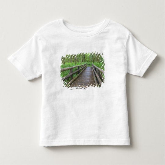 Maple Glade trail wooden bridge, ferns and Toddler T-shirt