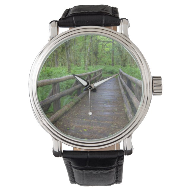 Maple Glade trail wooden bridge, ferns and Watch (Front)
