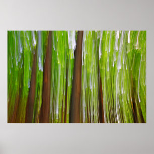 Maple Grove Abstract Poster