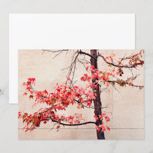 Maple Holiday Card