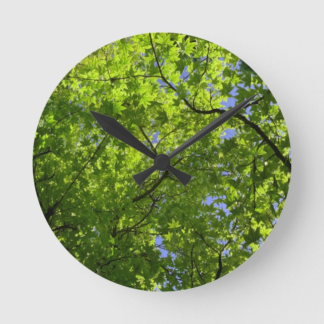 Maple in Spring Round Clock (Front)