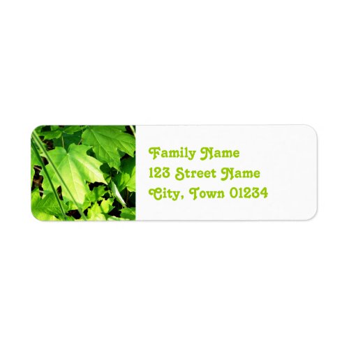 Maple Label