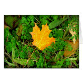 Maple Leaf (Front Horizontal)