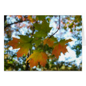 Maple Leaf blank card (Front Horizontal)