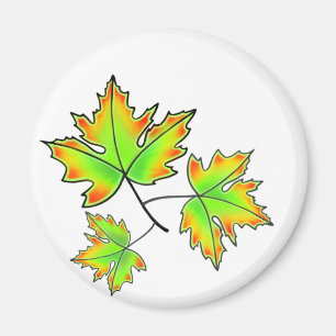 Maple Leaf, botanical, red orange green leaves Magnet
