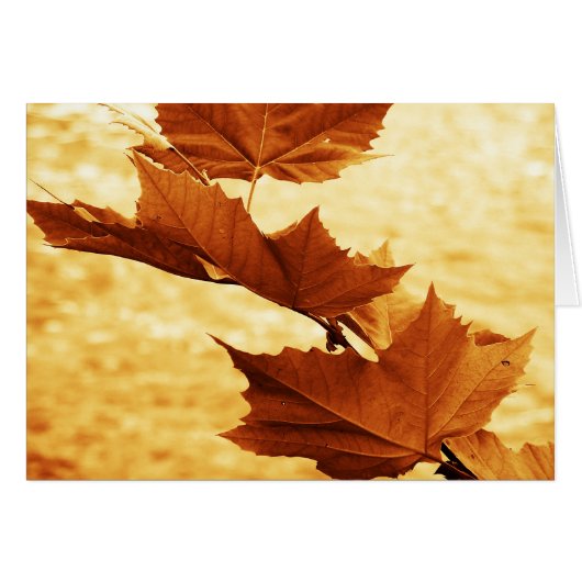 Maple leaf Card (Front Horizontal)