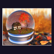 Maple Leaf Globe Postcard