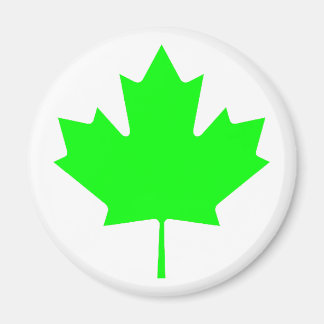 Maple Leaf Green LtTransp The MUSEUM Zazzle Gifts Magnet