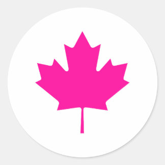 Maple Leaf MagentaTransp The MUSEUM Zazzle Gifts Classic Round Sticker
