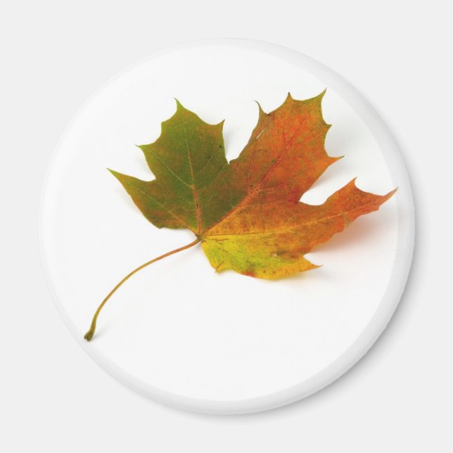 Maple Leaf Magnet (Front)