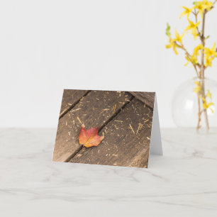maple leaf minimalist fall photograph card