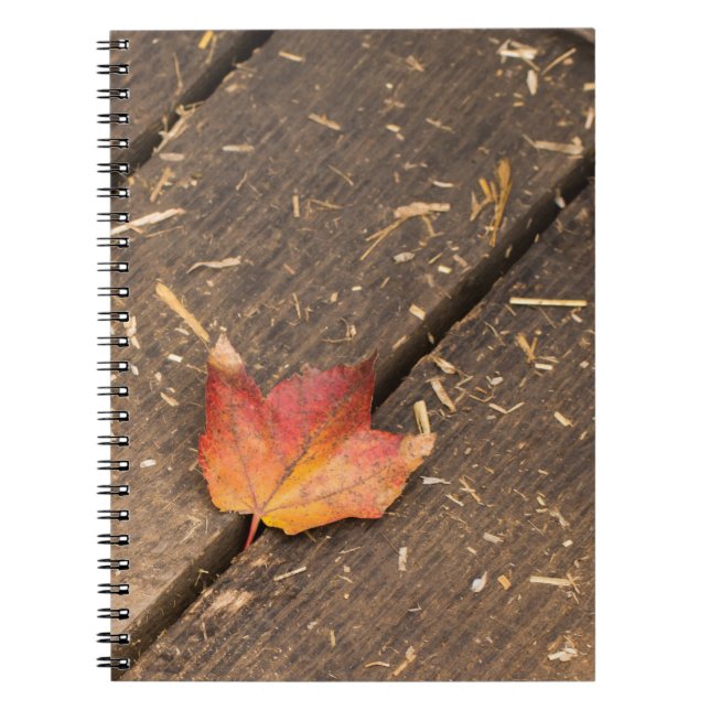 maple leaf minimalist fall photograph notebook (Front)