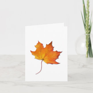 Maple Leaf Note Card