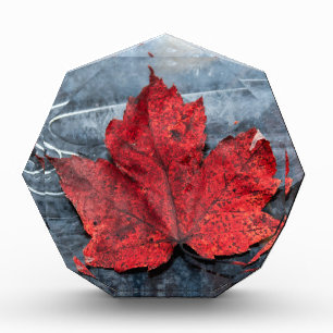 Maple leaf on ice award