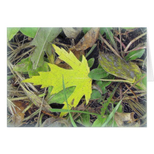 Maple Leaf on the grass Cards (Front Horizontal)