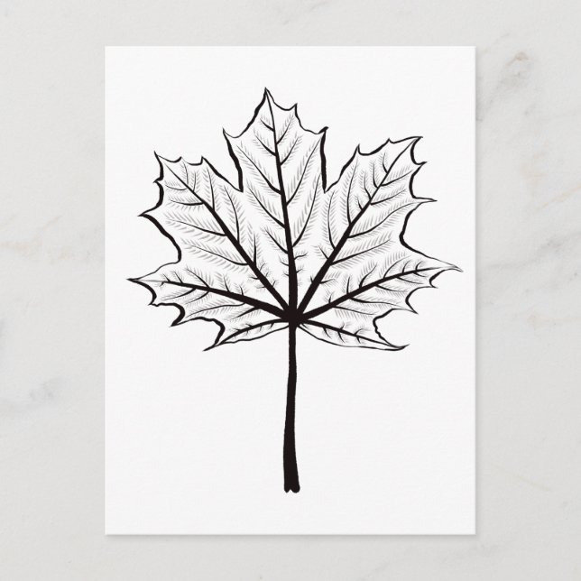 Maple Leaf Outline Art - Botanical Coloring Postcard (Front)