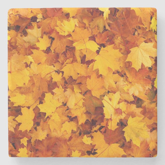 Maple Leaf Pattern-25877 Stone Coaster (Front)