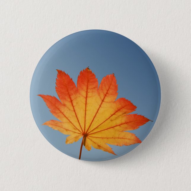 maple leaf pinback button (Front)