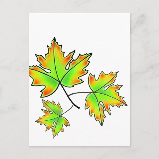 Maple Leaf Postcard (Front)