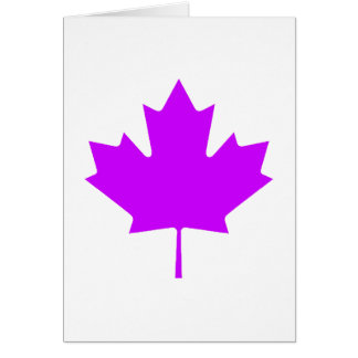 Maple Leaf PurpleTransp The MUSEUM Zazzle Gifts Cards