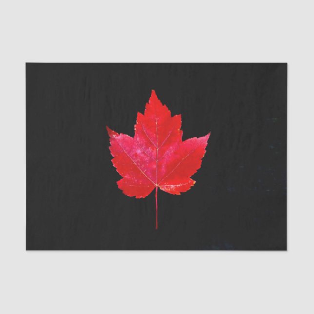 Maple Leaf Red Black Autumn Country Tissue Paper (Front)