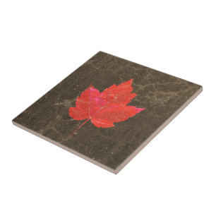 Maple Leaf Red Brown Autumn Country Texture Ceramic Tile