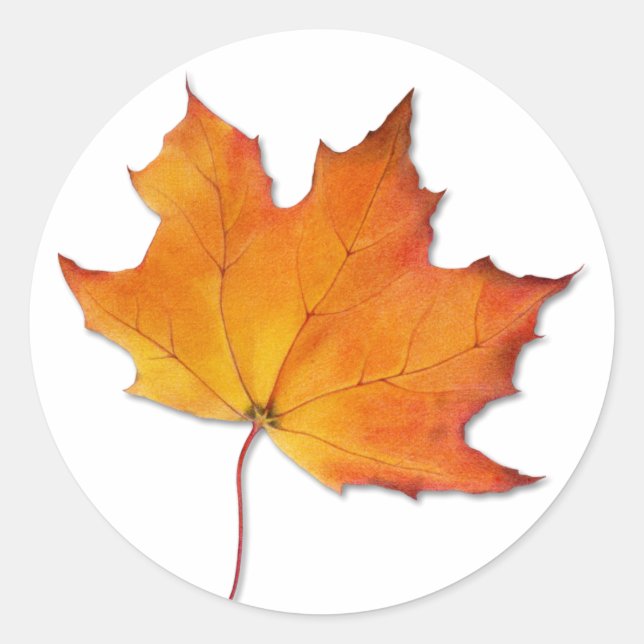 Maple Leaf Sticker (Front)