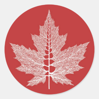 Maple Leaf Veins Sticker (Red)