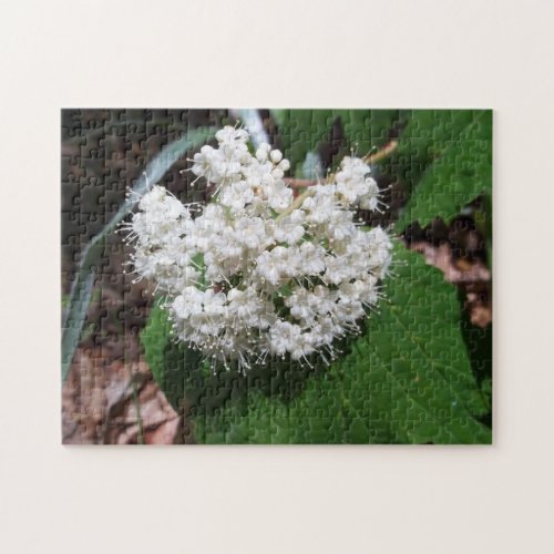 Maple Leaf Viburnum Jigsaw Puzzle