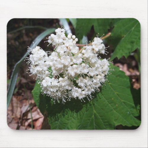 Maple Leaf Viburnum Mouse Pad