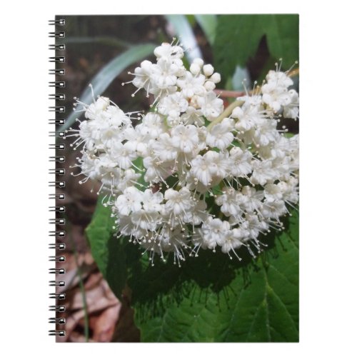 Maple Leaf Viburnum Notebook