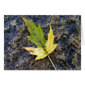 Maple Leaf , white envelopes included (Front Horizontal)