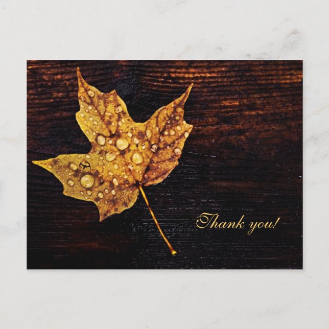 Maple leaf with rain drops on wood texture postcard (Front)