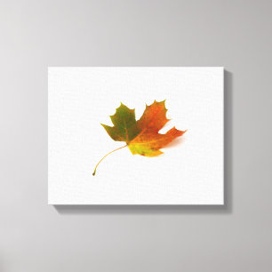 Maple Leaf Wrapped Canvas Print