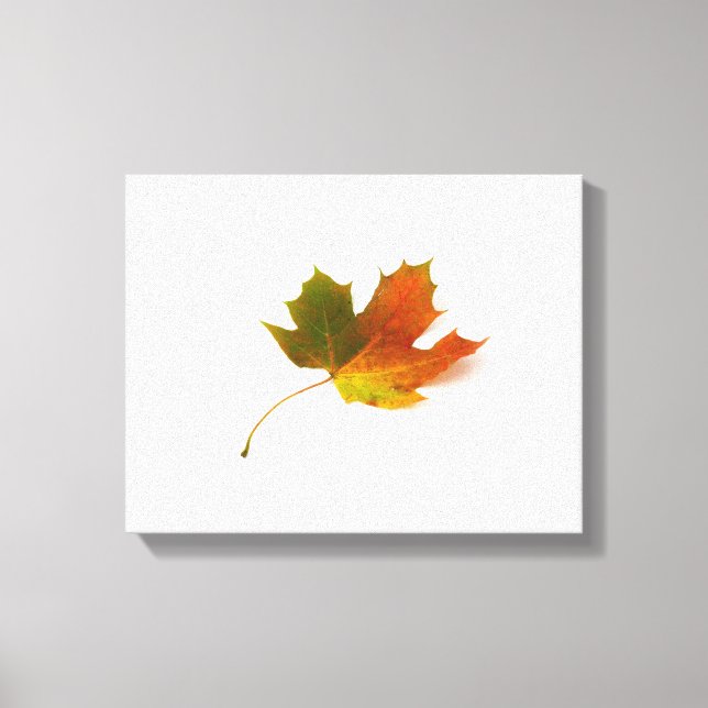 Maple Leaf Wrapped Canvas Print (Front)