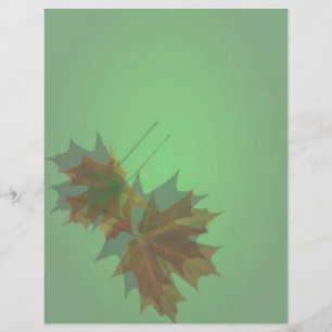 Maple Leave Flyer