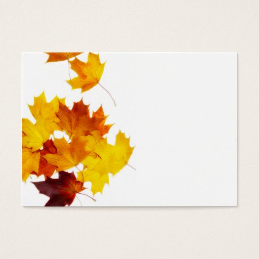 Customizable Maple leaves business card templates