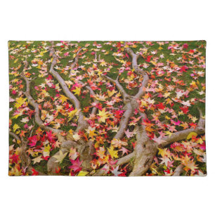 Maple Leaves Cloth Placemat