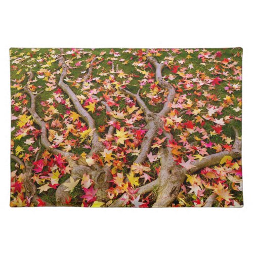 Maple Leaves Cloth Placemat