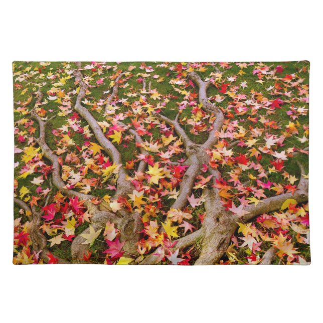 Maple Leaves Cloth Placemat (Front)