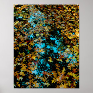 Maple Leaves Floating on Water Poster