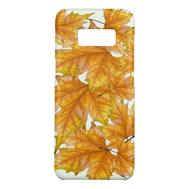 Maple Leaves Foliage