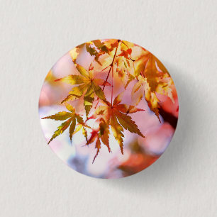 Maple Leaves Landscape Design-21355 Button