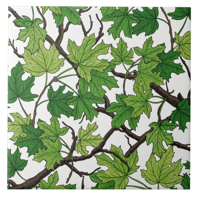 Maple leaves on white ceramic tile (Front)