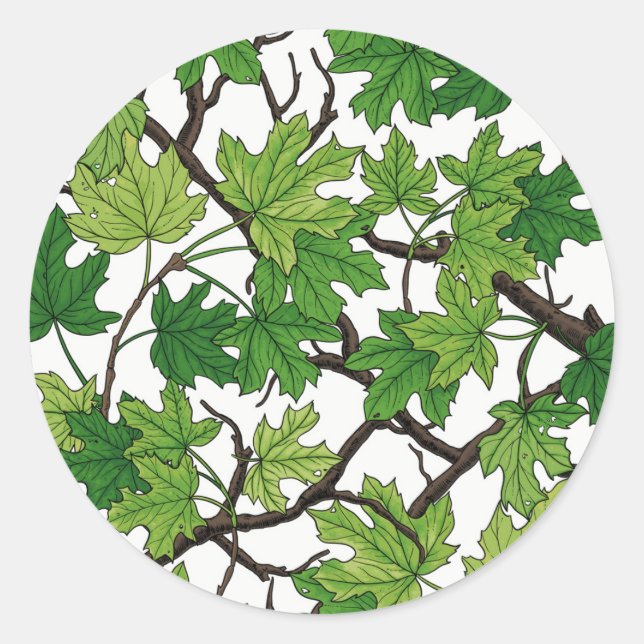 Maple leaves on white classic round sticker (Front)