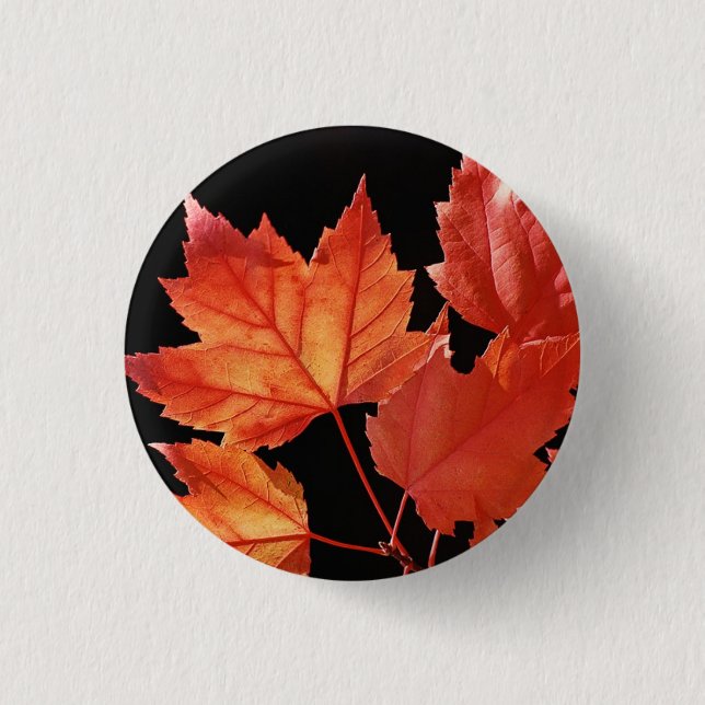 Maple Leaves Pinback Button (Front)
