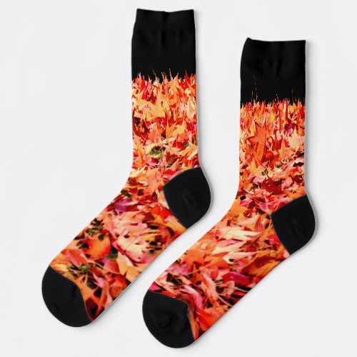 Maple Leaves   Socks